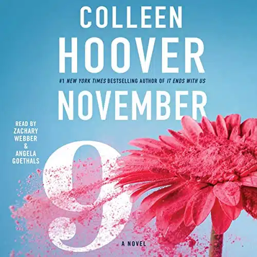 November A Novel