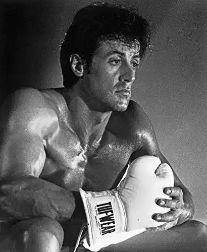 Sylvester Stallone Action Pose Portrait Photo Print (x )