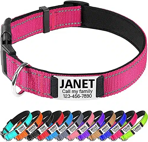 TagME Dog Collar with Name Plate, Personalized Dog Collar for Medium Dogs,Custom Reflective Padded Pet Collars with Engraved Slide on ID Tags,Hot Pink