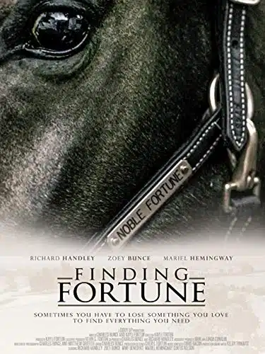 Finding Fortune